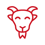 Goat Supplies