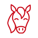Shop Horse Supplies