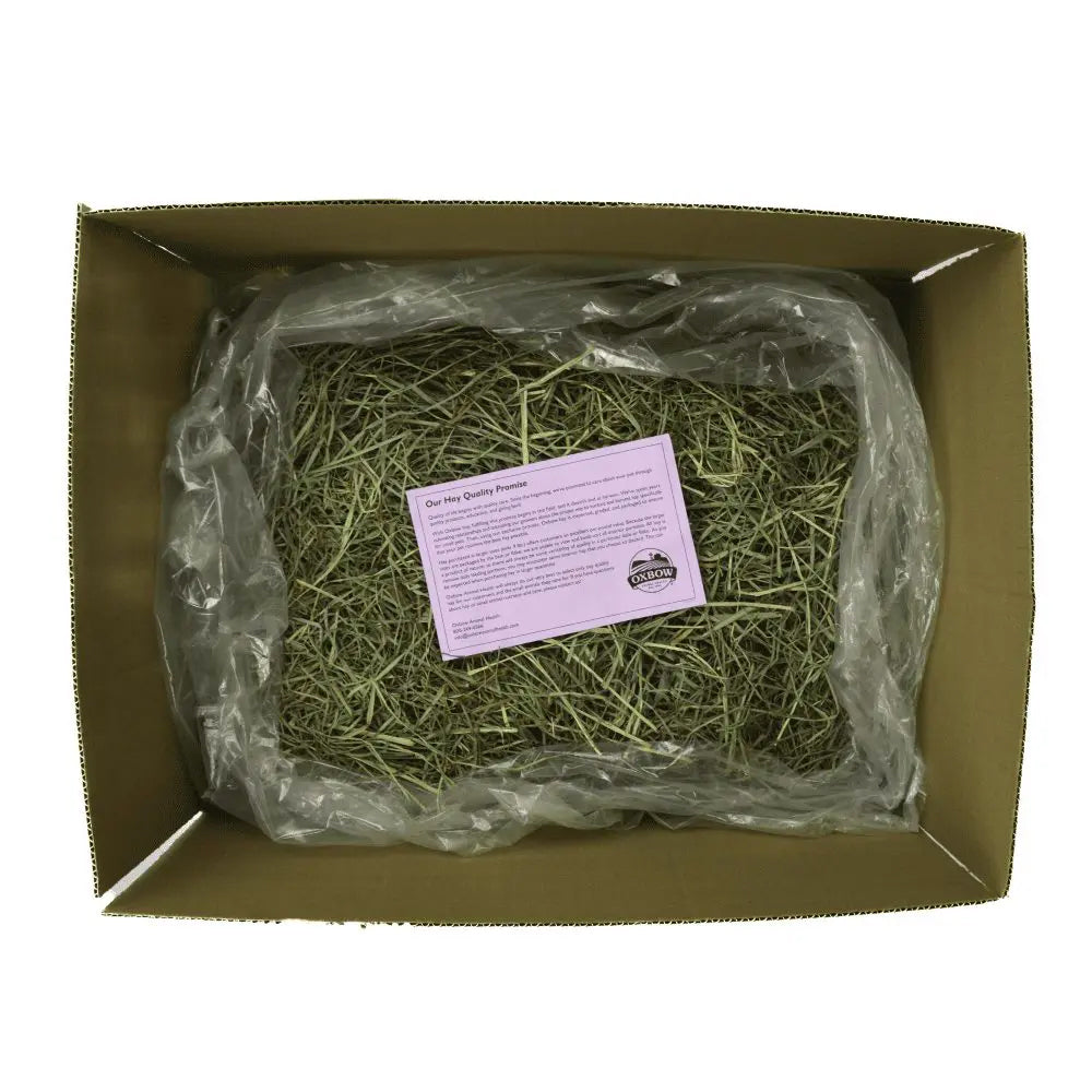 Oxbow Western Timothy Hay