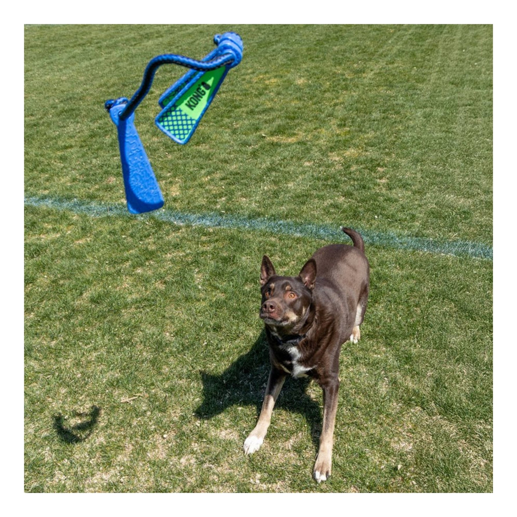 KONG Whirlz Rope - Medium/Large