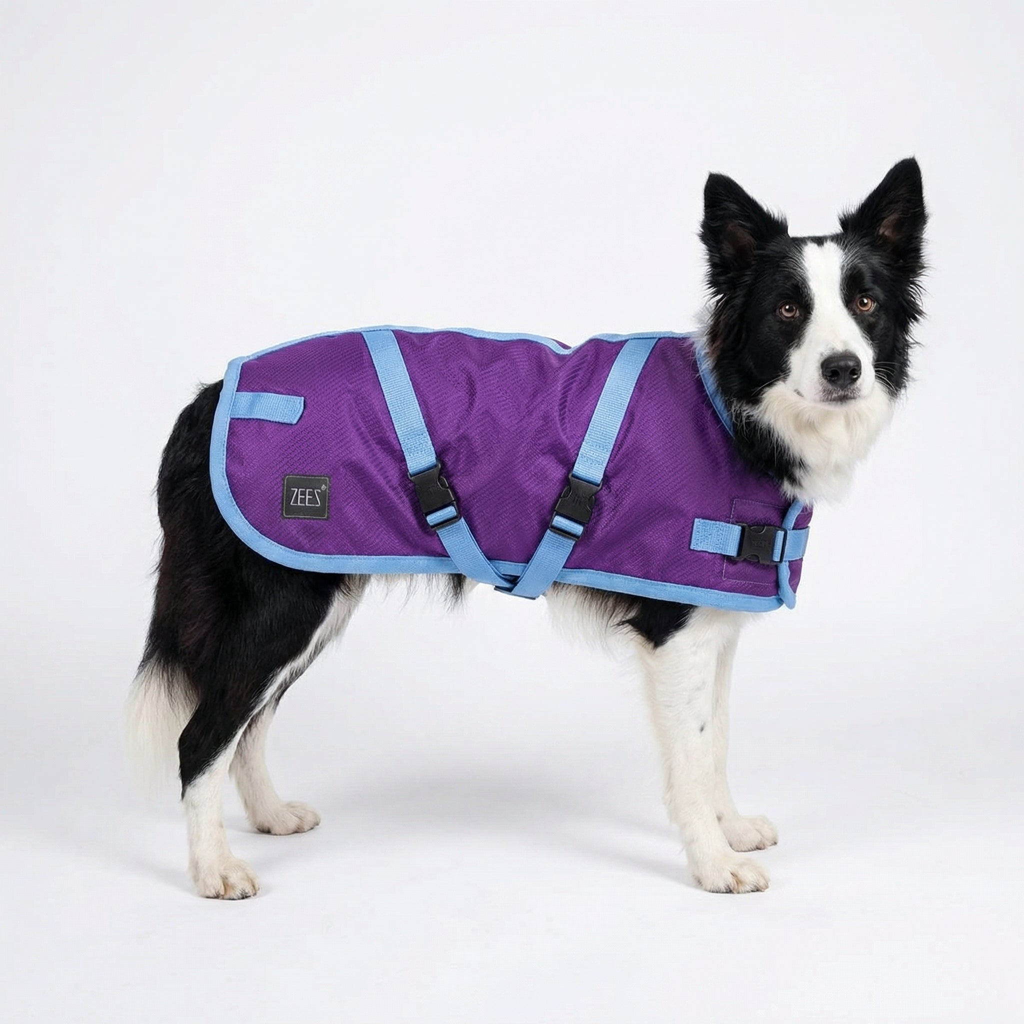 ZeeZ Supreme Dog Coat - Grape Purple/Blue
