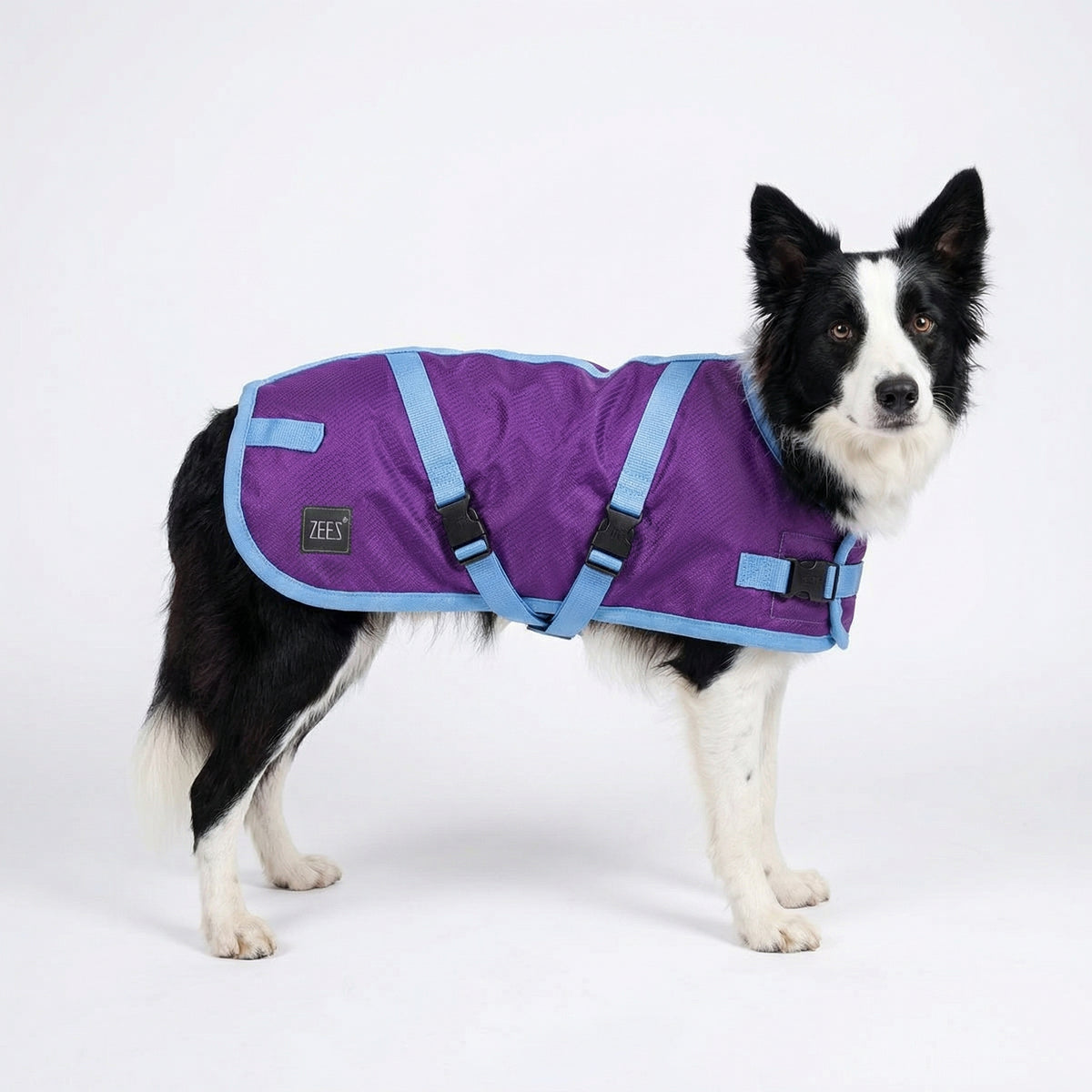 ZeeZ Supreme Dog Coat - Grape Purple/Blue