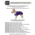 ZeeZ Supreme Dog Coat - Mint Green/Grey