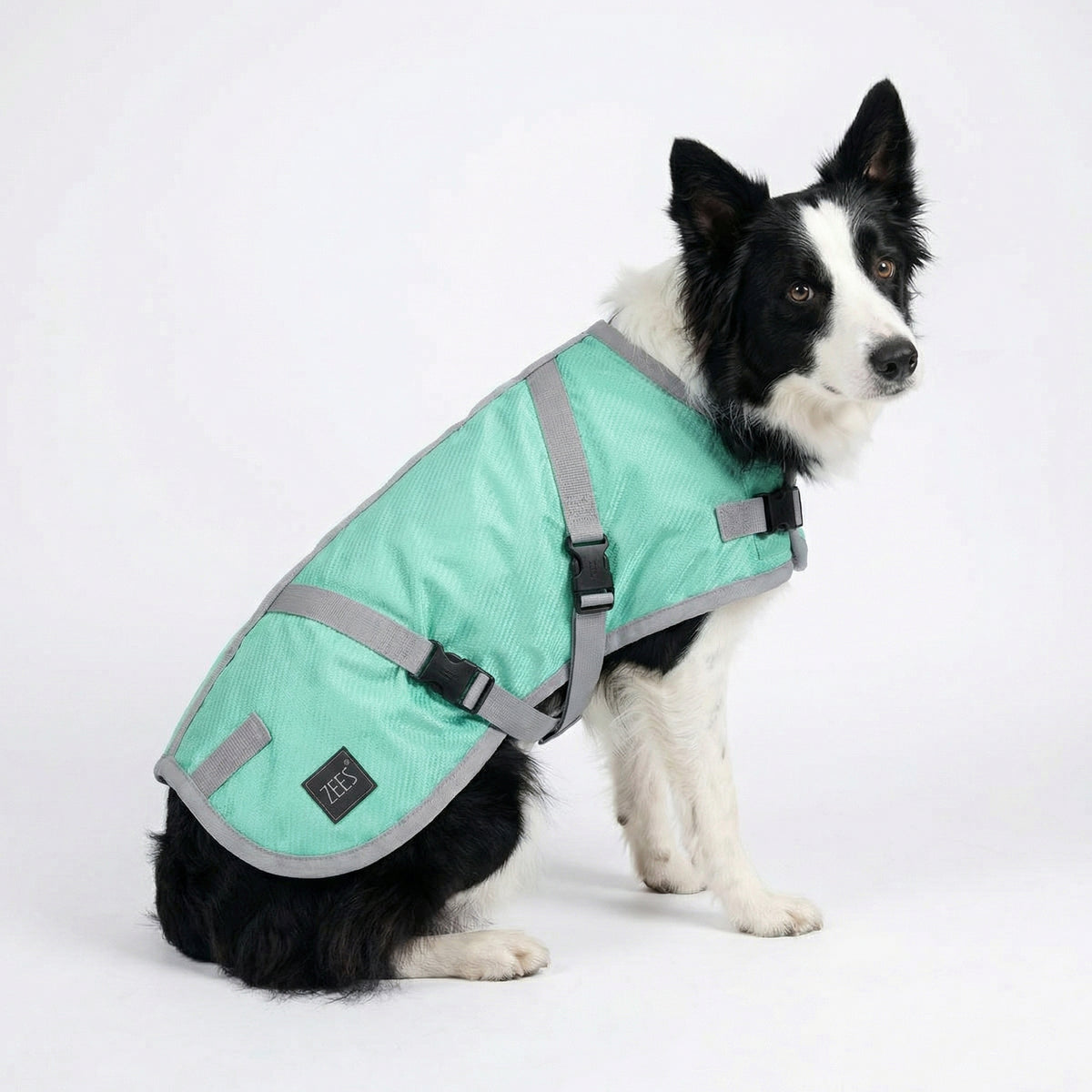 ZeeZ Supreme Dog Coat - Mint Green/Grey