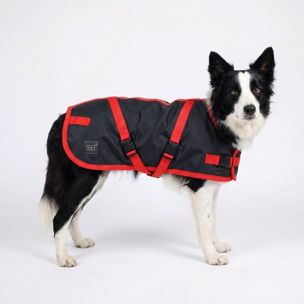 ZeeZ Supreme Dog Coat - Navy Stone/Red