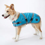 ZeeZ Supreme Dog Coat - Turquoise/Grey