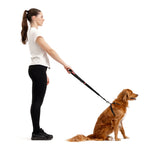 EzyDog Black Denim Zero Shock Leash