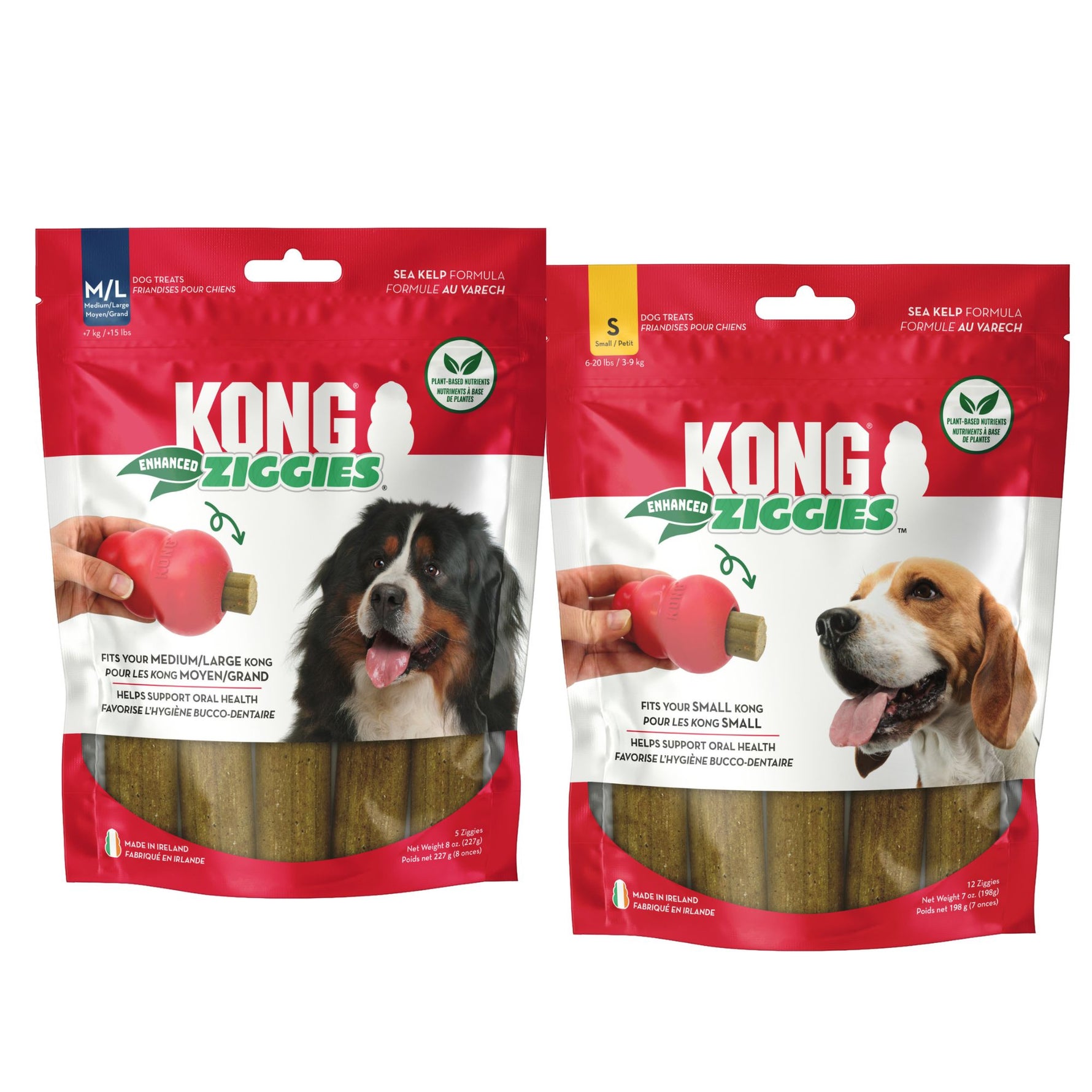 KONG Ziggies Enhanced Dog Treats