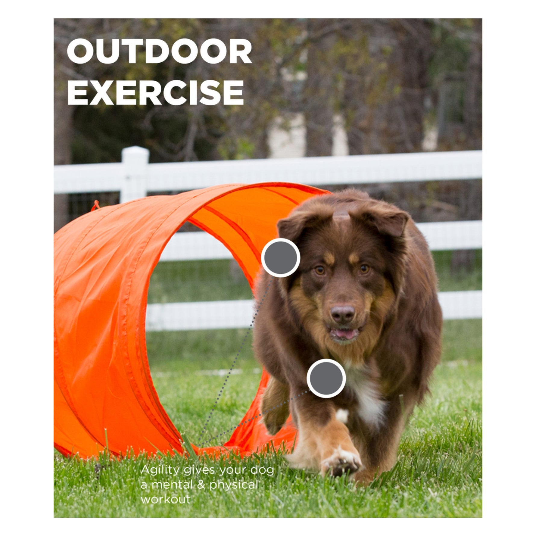 Outward Hound Zip & Zoom Outdoor Agility Kit