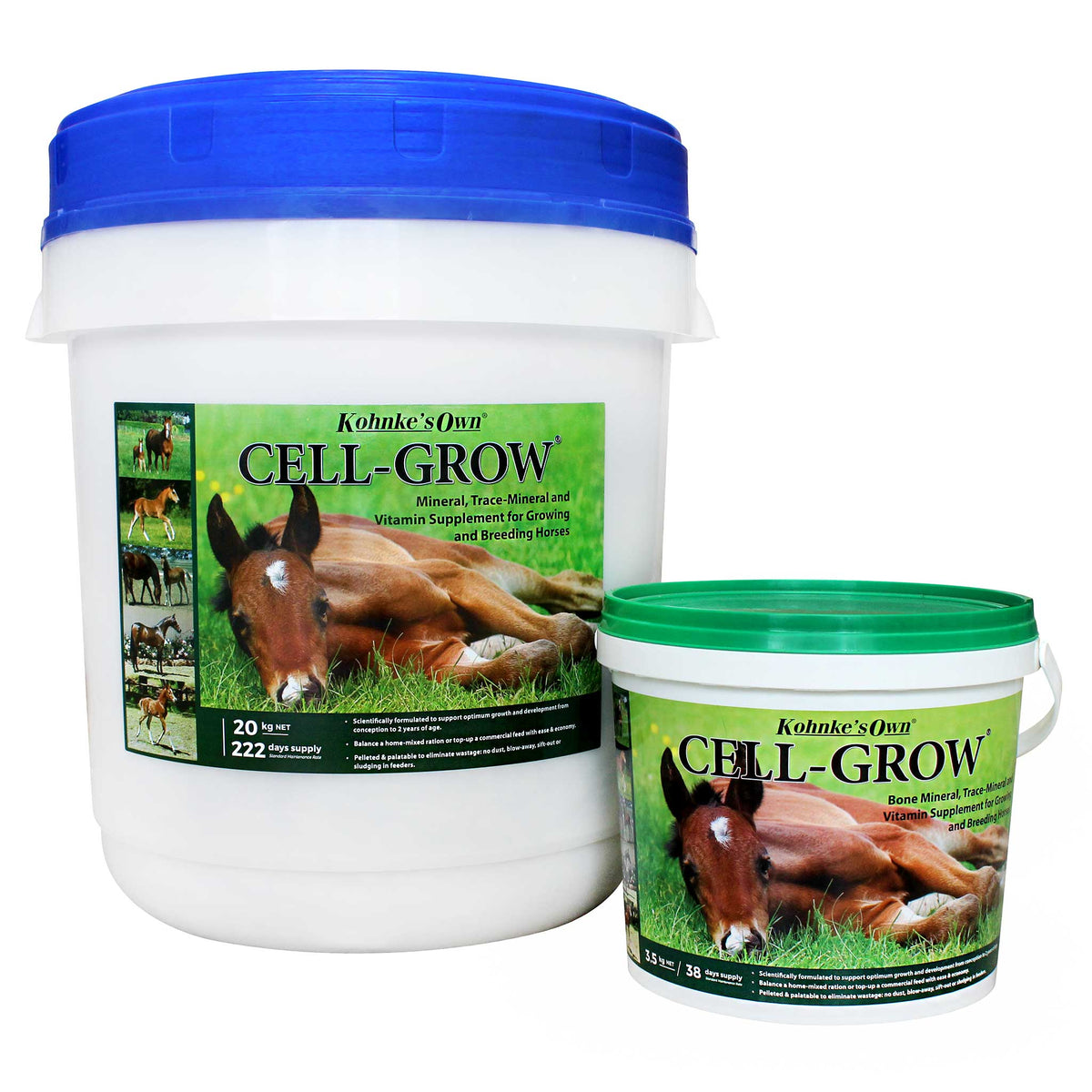 Horse Breeding & Reproductive Supplements