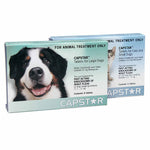 Capstar Tablets 6's - Fast acting knock down of Adult Fleas