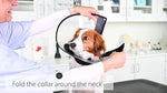 Buster Complete Elizabethan Collar