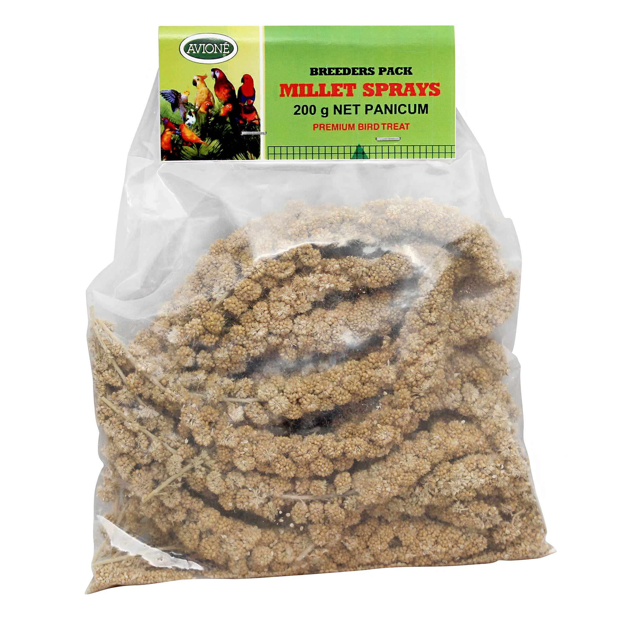 Millet Sprays - Panicum