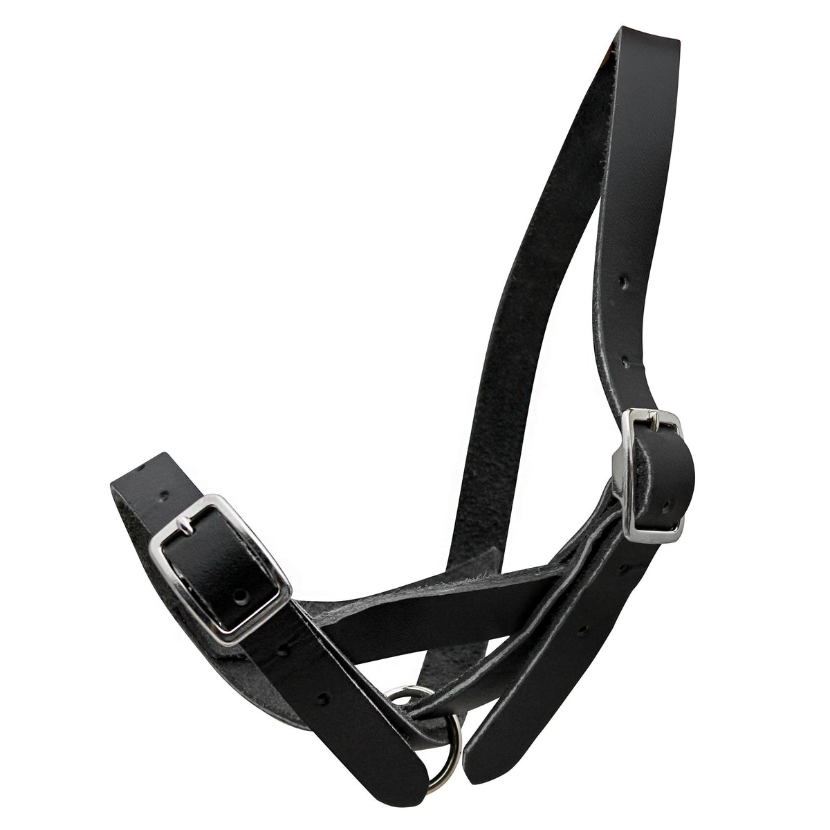 Leather Calf Tie Out Tethering Halter