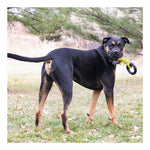 KONG Jaxx Braided Tug - Large