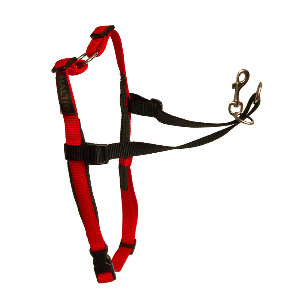 Halti Front Control Harness