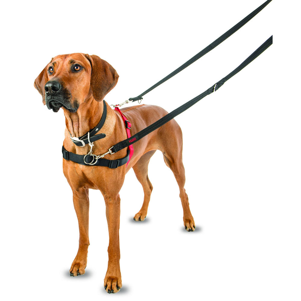 Halti Front Control Harness