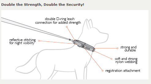 EzyDog Double Up Collar