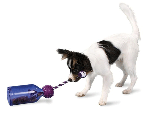 Busy Buddy Tug-A-Jug