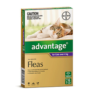 Advantage for Cats Over 4kg vet n pet DIRECT