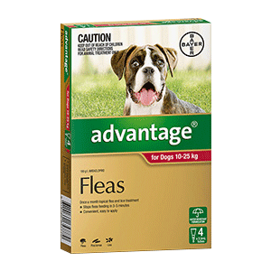Advantage for Dogs 10-25kg