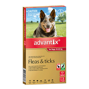 ADVANTIX for Large Dogs 10-25kg