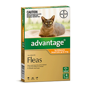 Advantage for Cats & Kittens Up to4kg