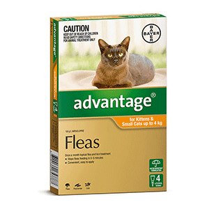 Advantage for Cats &amp; Kittens Up to4kg