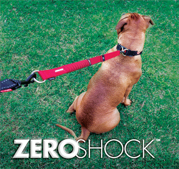 EzyDog Zero Shock Extension vet n pet DIRECT