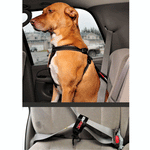 EzyDog Car Restraint