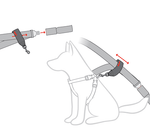 EzyDog Car Restraint