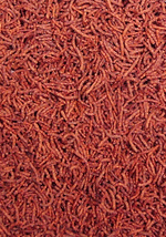 Ocean Nutrition Discus Formula Pellets