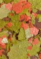 Ocean Nutrition Cichlid Omni Flakes