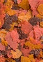Ocean Nutrition Brine Shrimp Plus Flakes