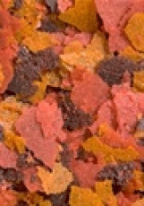 Ocean Nutrition Brine Shrimp Plus Flakes
