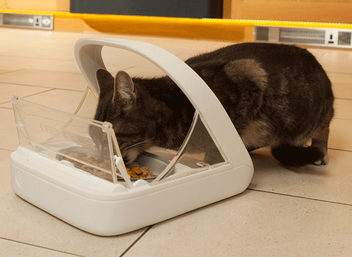 SureFeed Microchip Pet Feeder
