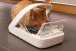 SureFeed Microchip Pet Feeder