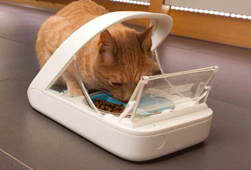 SureFeed Microchip Pet Feeder