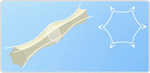 Prozym Dental Sticks