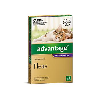 Advantage for Cats Over 4kg