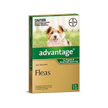 Advantage for Dogs &amp; Puppies Under 4kg