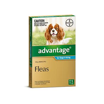 Advantage for Dogs 4kg-10kg