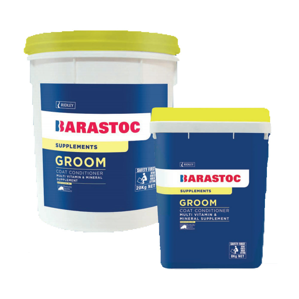 Barastoc Groom