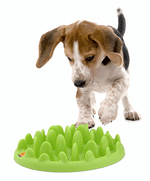 Northmate GREEN Mini Slow Feeder Bowl