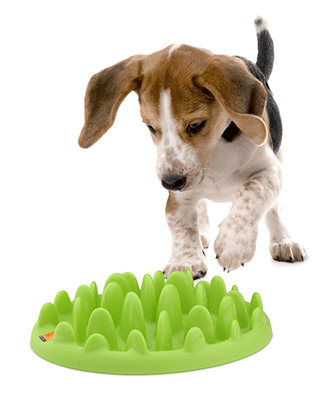 Northmate GREEN Mini Slow Feeder Bowl