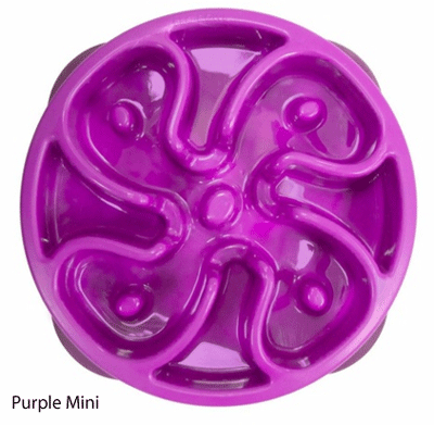 Outward Hound Fun Feeder Slow Feed Bowl - Purple