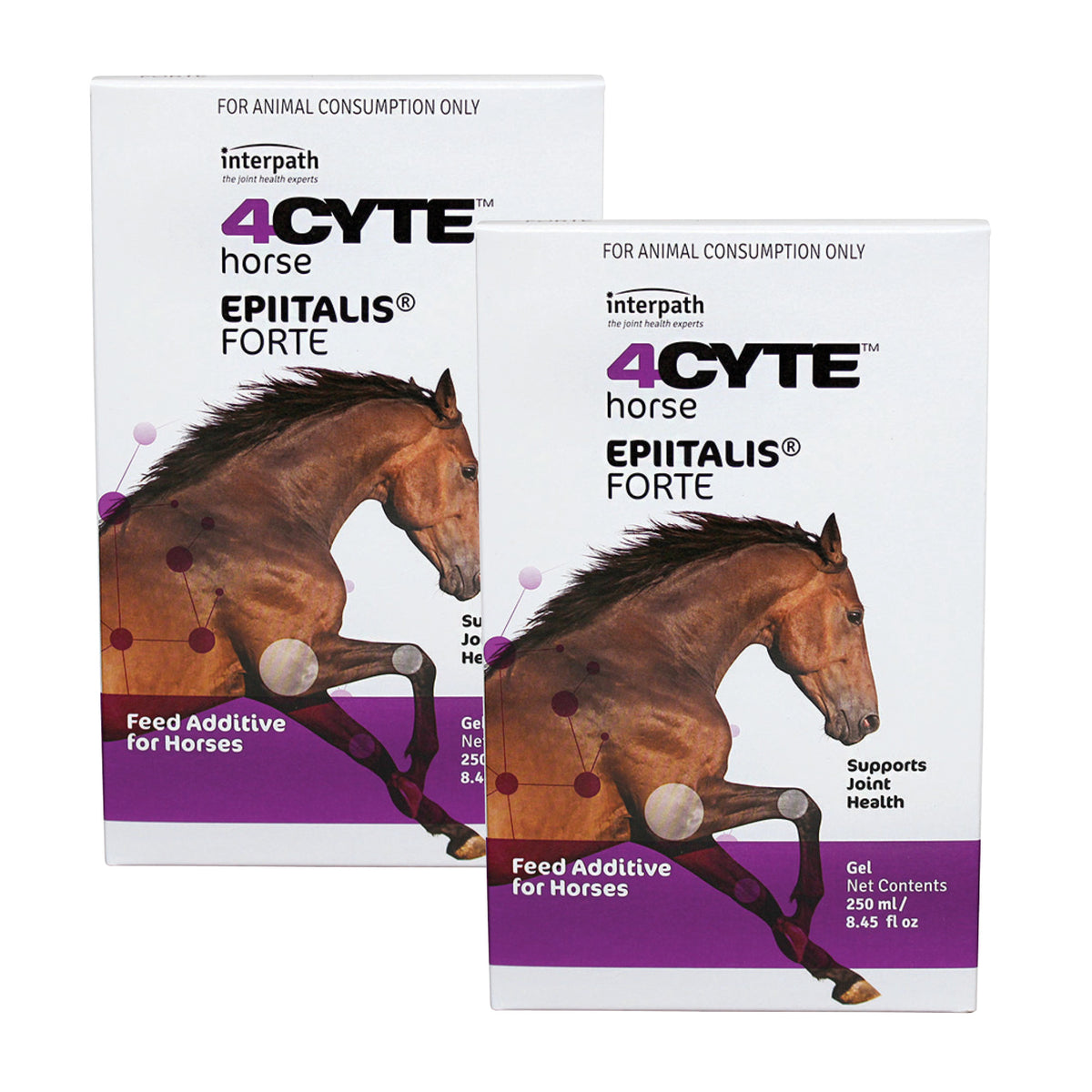4CYTE Epiitalis Forte Gel Equine Joint Treatment 250mL x 2 Value Bundle