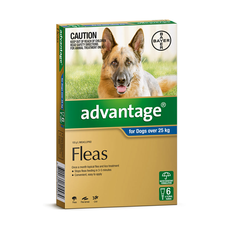 Advantage for Dogs Over 25kg