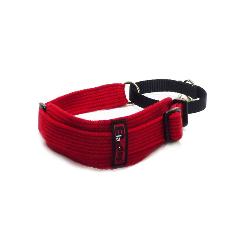 Black Dog Wear Sighthound Collar