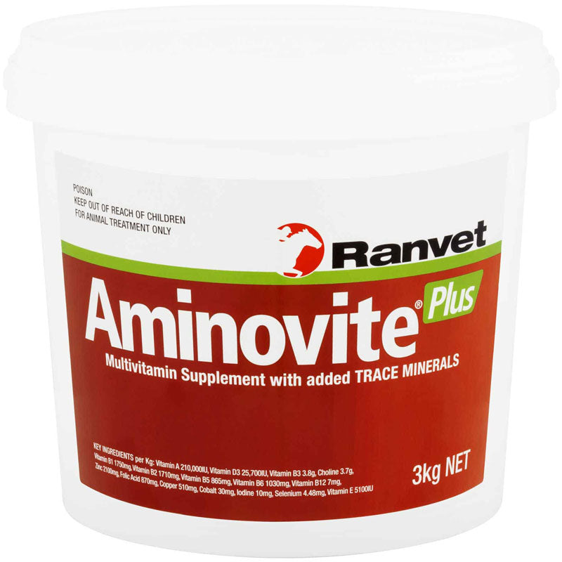 Aminovite Plus Multivitamin Supplement for Horses